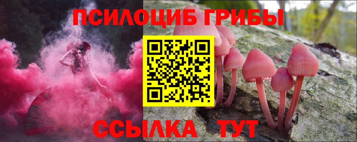 Галлюциногенные грибы Psilocybe  Вход с VPN  Ялта 